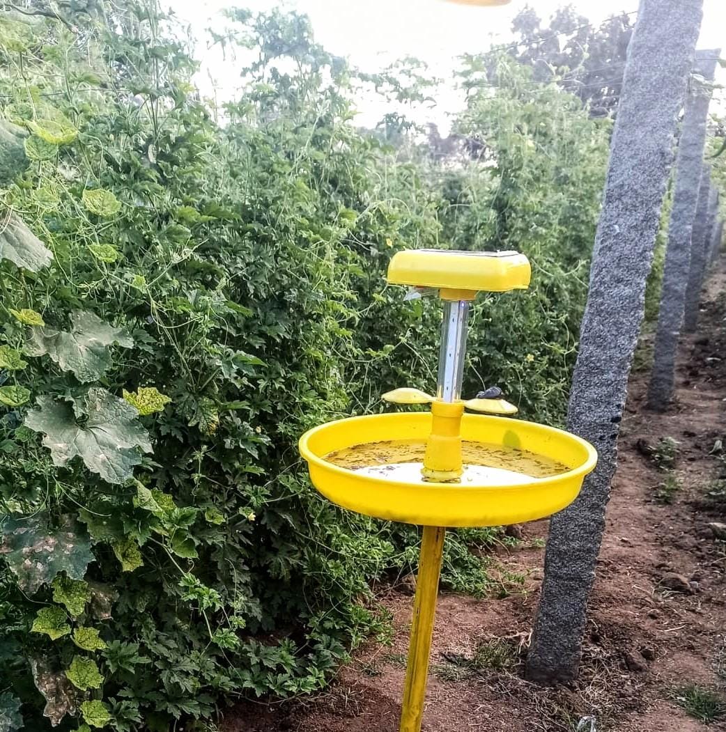 Mini Solar Insect Trap: An Eco-Friendly Solution for Pest Control